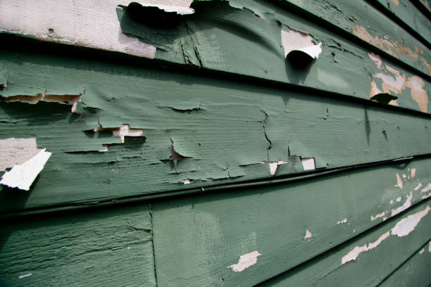 Best Shed Removal  in Royal Palm Beach, FL