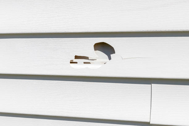 Same-Day Junk Removal Services in Royal Palm Beach, FL